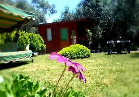 Orchidee Bungalow Отель Сазлы