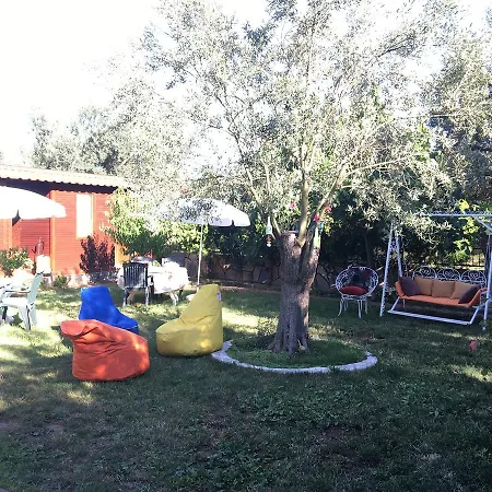 Hotel Orchidee Bungalow