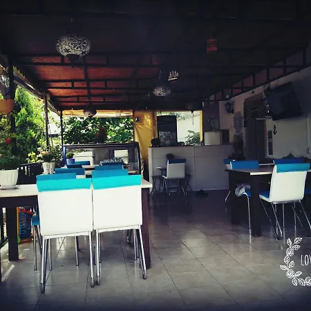 Отель Orchidee Bungalow *