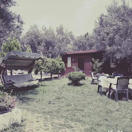 Orchidee Bungalow *