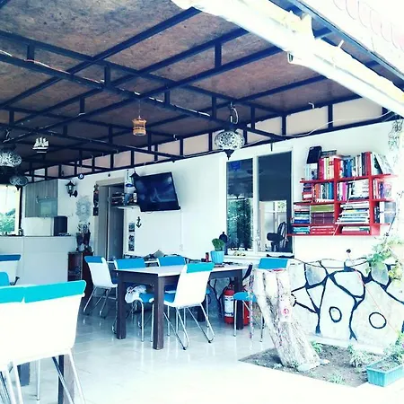 Orchidee Bungalow