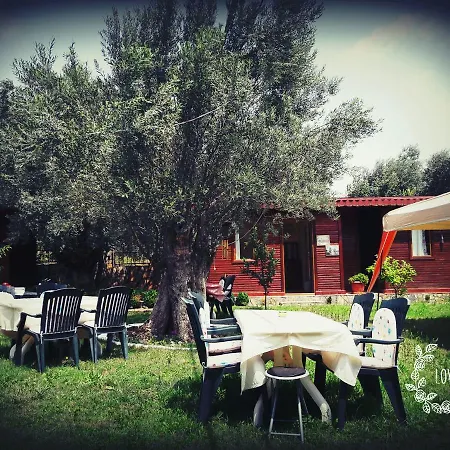 Hotel Orchidee Bungalow